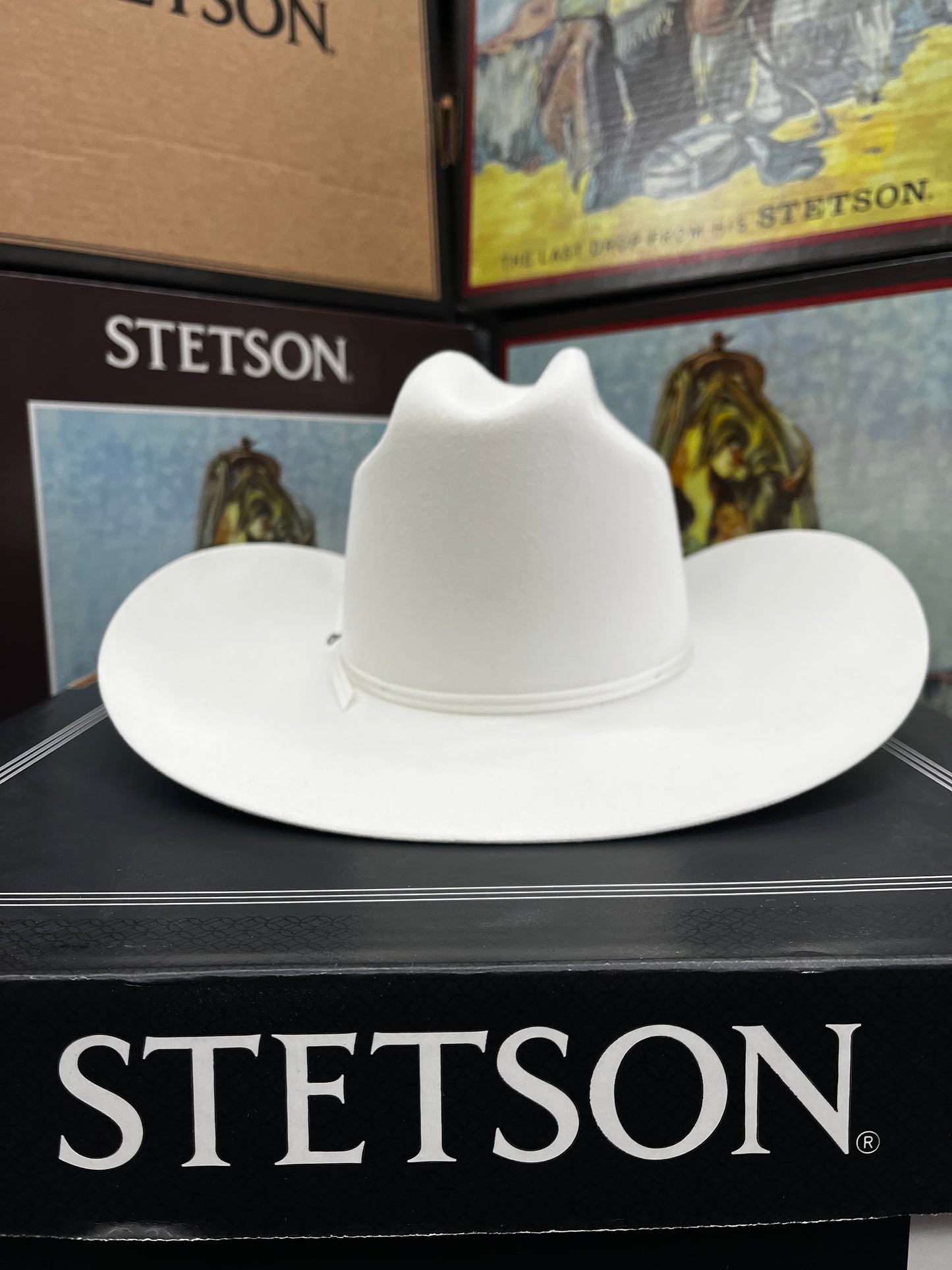 Texanas Stetson - 6x Stetson Rancher Blanca