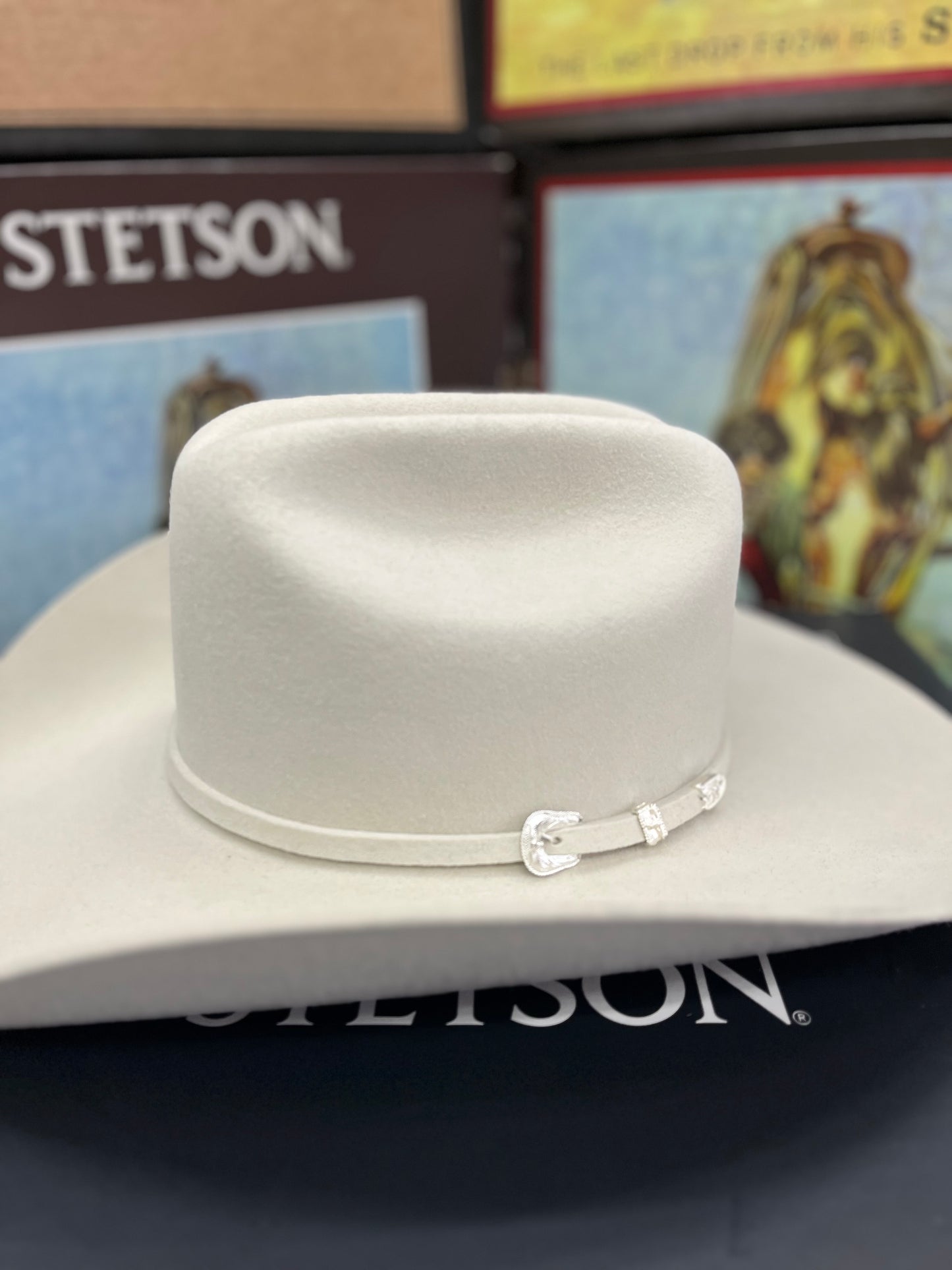 Texana 4X Stetson Deadwood Silverbelly