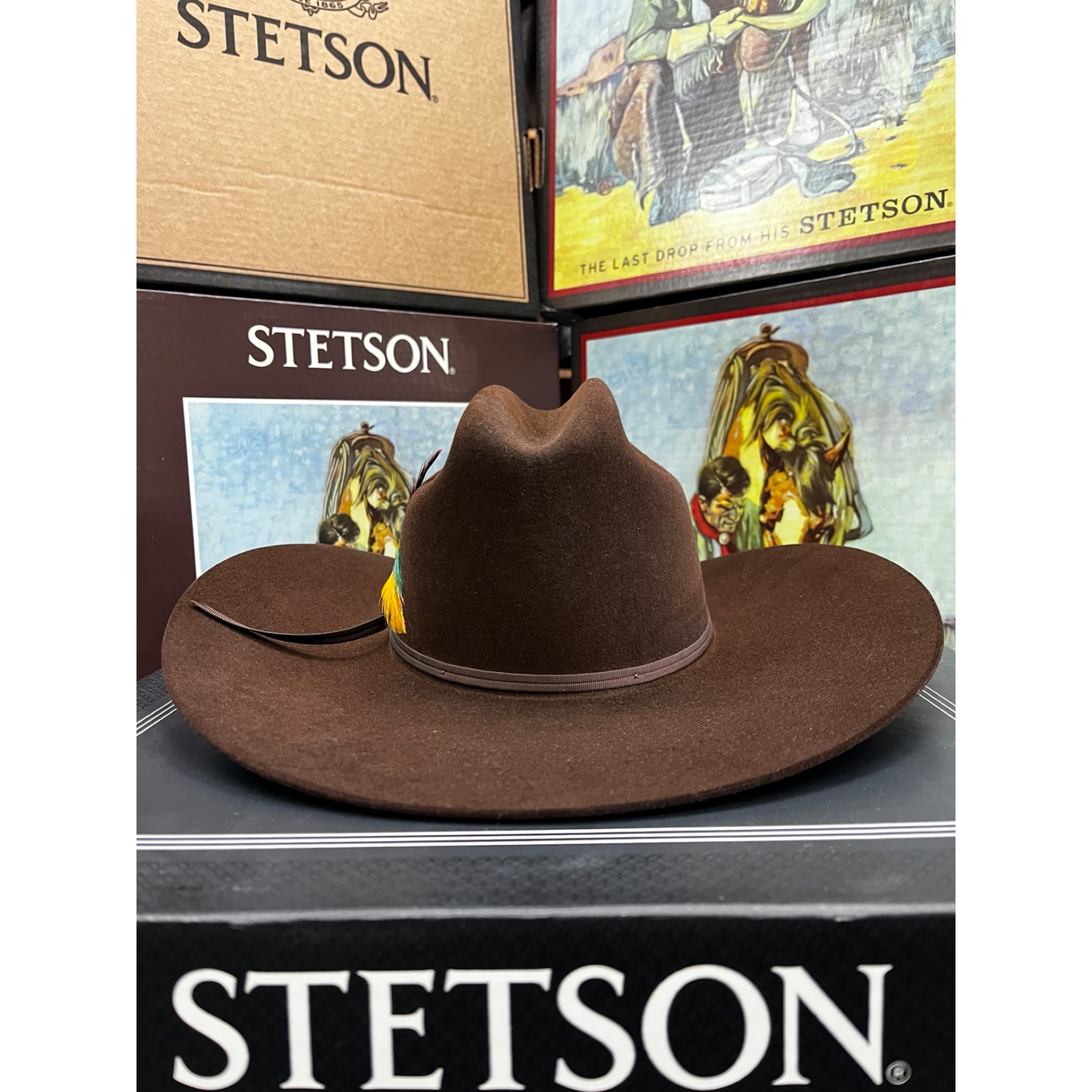 Texanas Stetson Spartan 6X Café