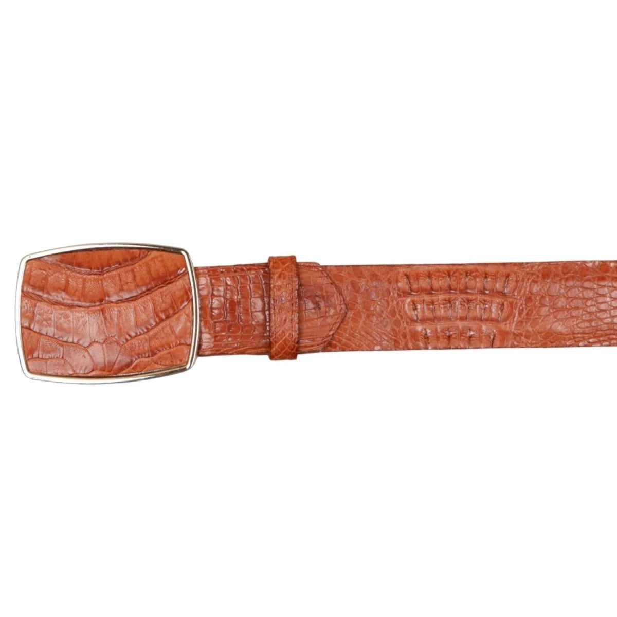Cinto de Cocodrilo - Wild West