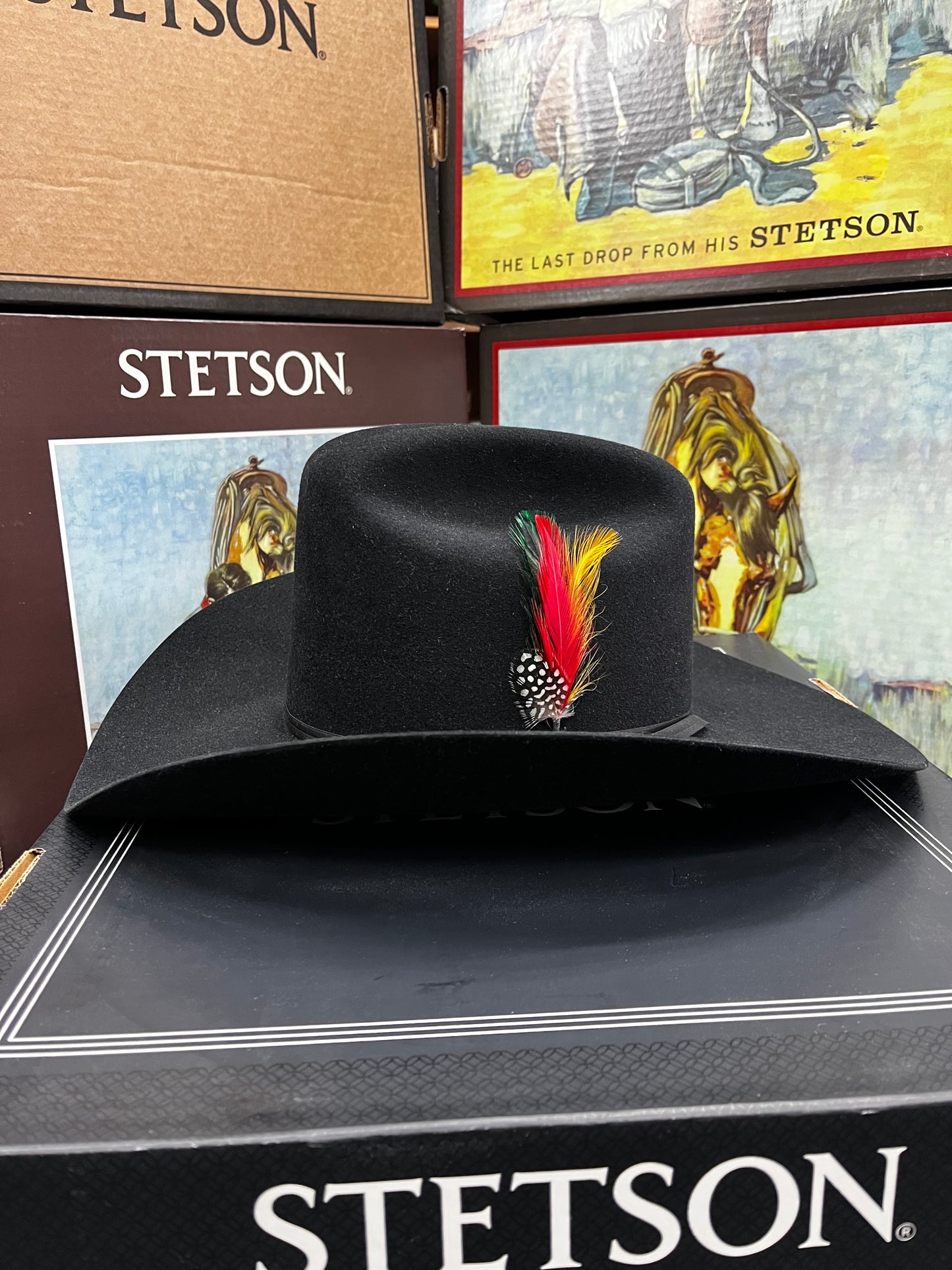 Texanas Stetson Rancher 6X Negro Spartan