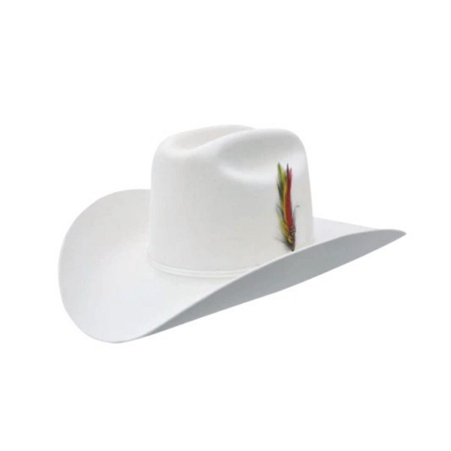 Texanas Stetson - 6x Stetson Rancher Blanca