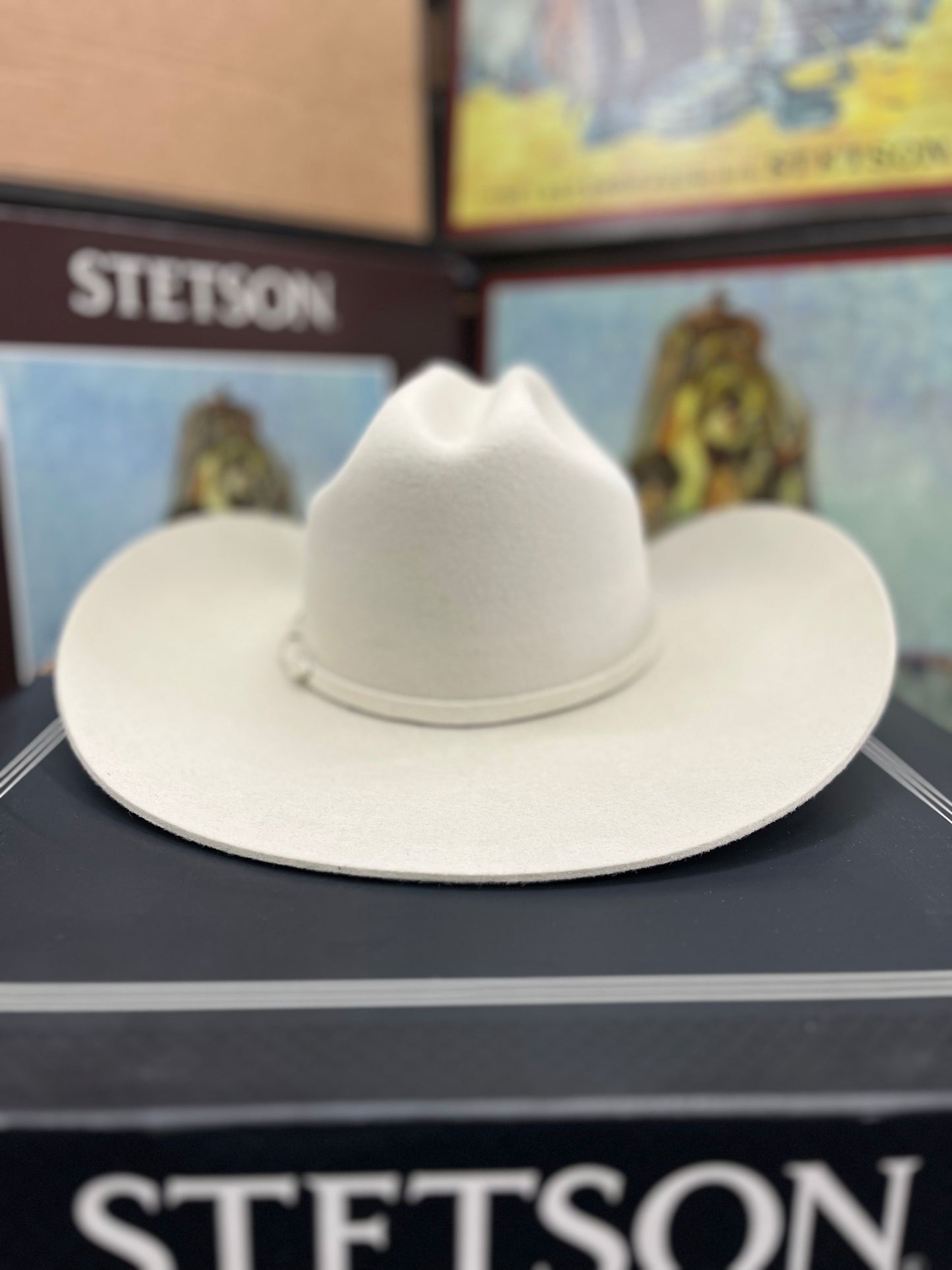 Texana 4X Stetson Deadwood Silverbelly