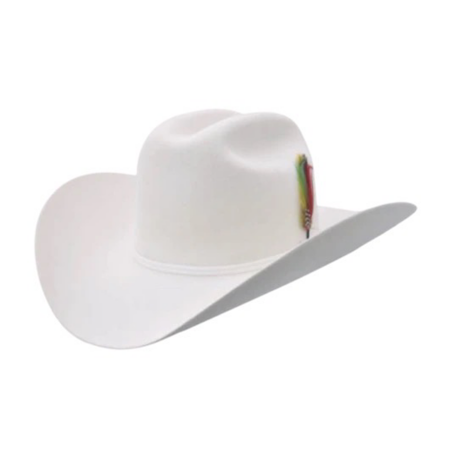 Texana Stetson Rancher 6X