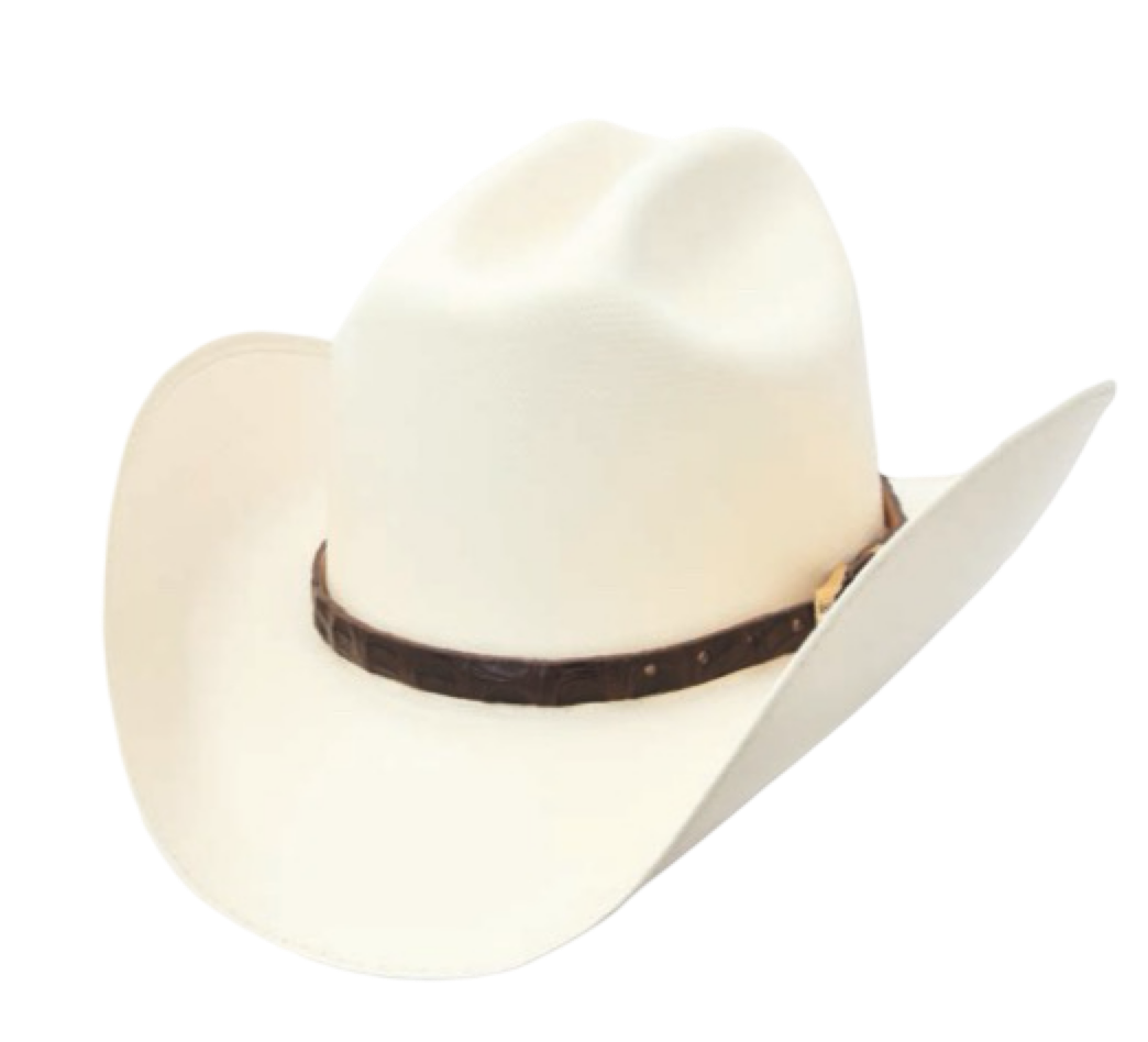 Sombrero Plano 3.5” Calidad 2000X WD-672