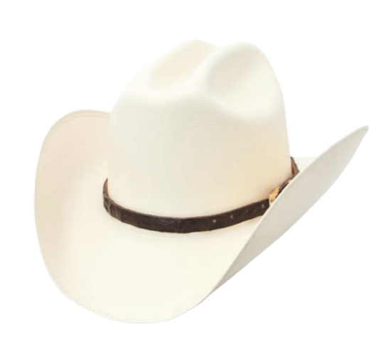Sombrero Plano 3.5” Calidad 2000X  WD-672