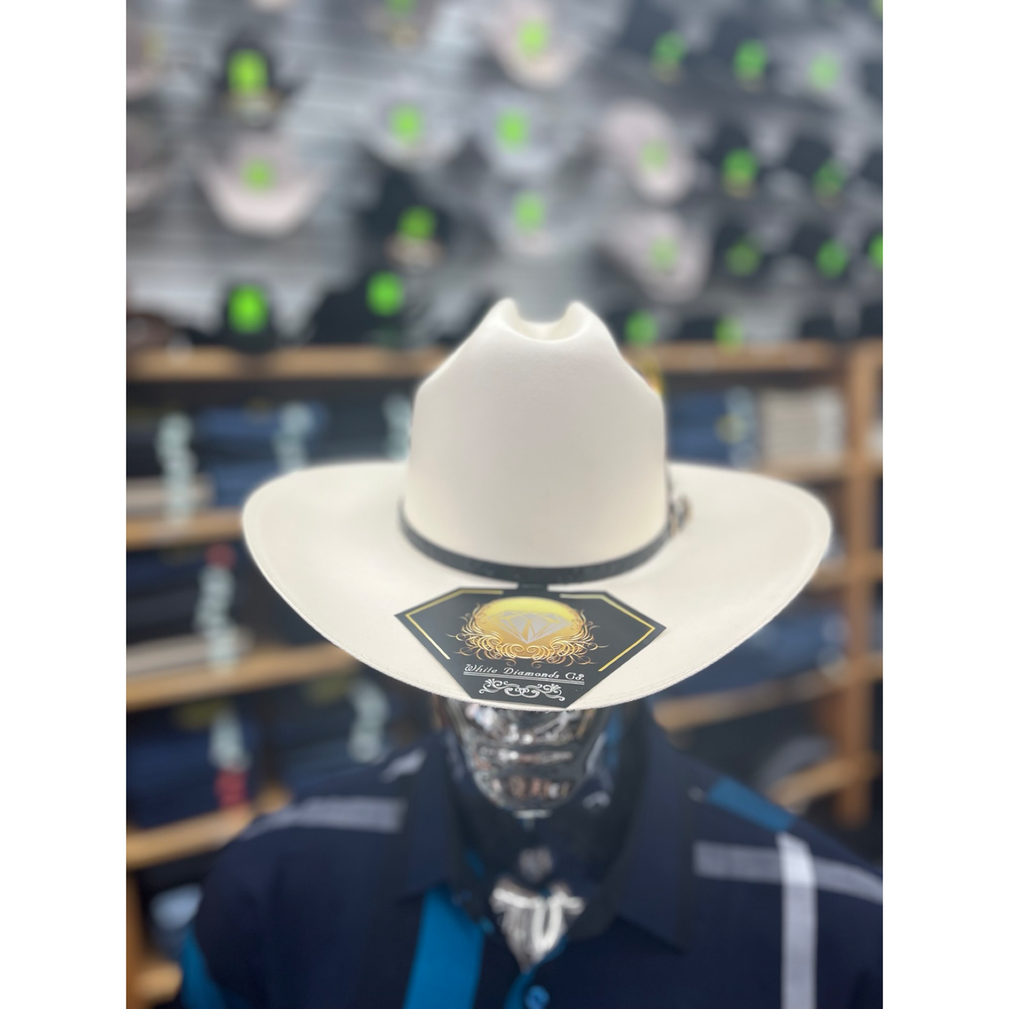 Sombrero Regular 3.5″ Calidad 100X WD-675 – Clásico Ranchero Diario