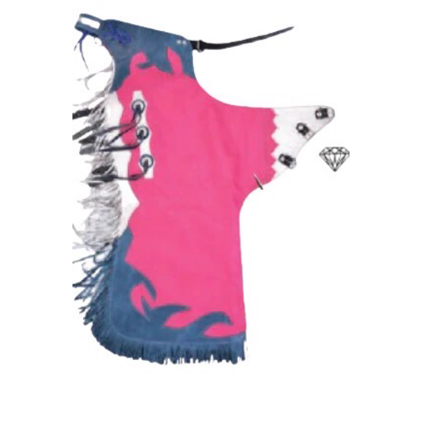 A traditional Mexican charro chaparriera with a predominantly pink body, featuring blue accents, silver embellishments, and a fringed design.