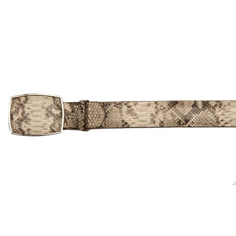 Snake print belt with a gold buckle on a white background