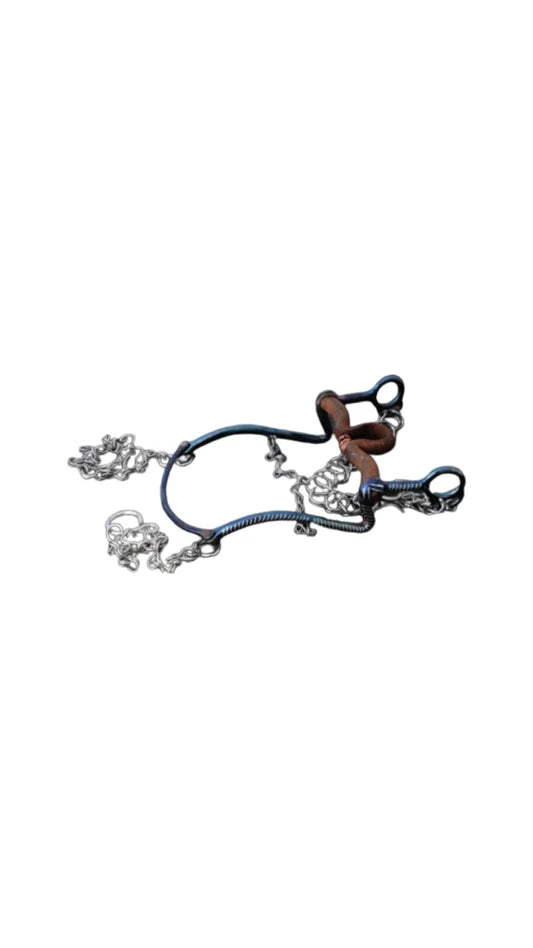 A traditional charro-style horse bridle with silver decorations and bits.