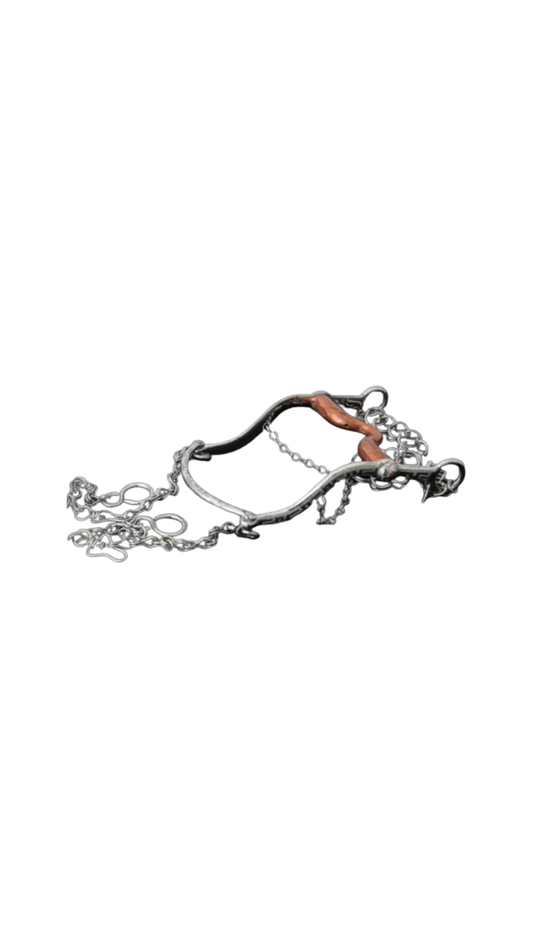 A traditional Mexican charro bridle with silver and colored details, designed for horse control during riding activities.