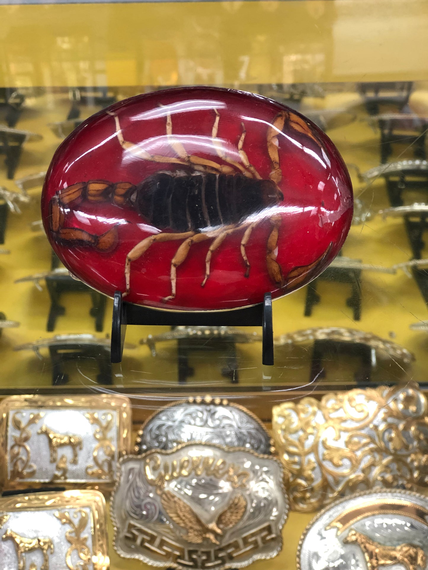 SCORPION BUCKLE 2022