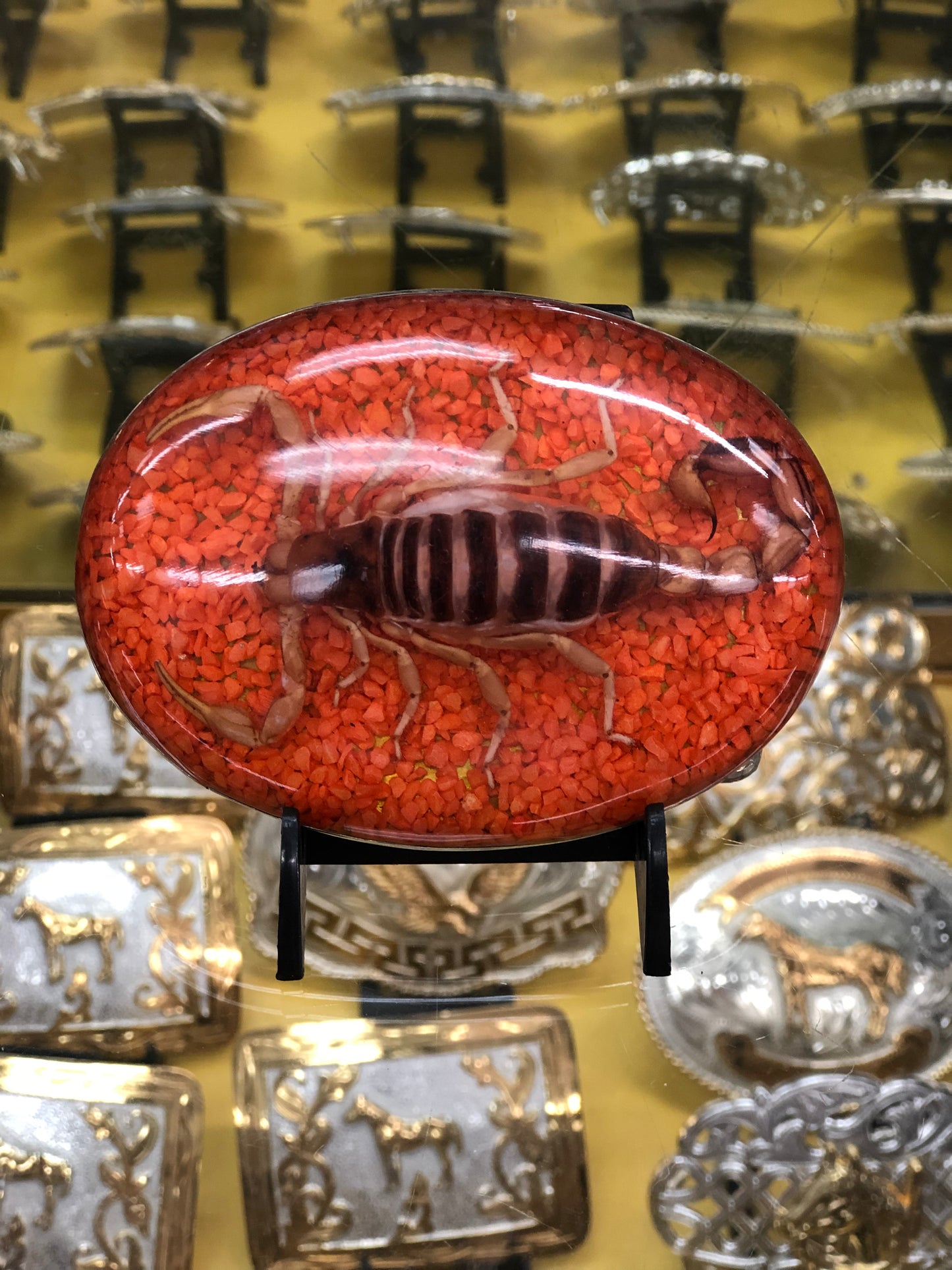 SCORPION BUCKLE 2022