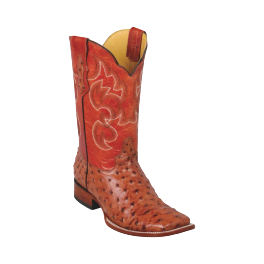 Botas Avestruz - Quincy Boots