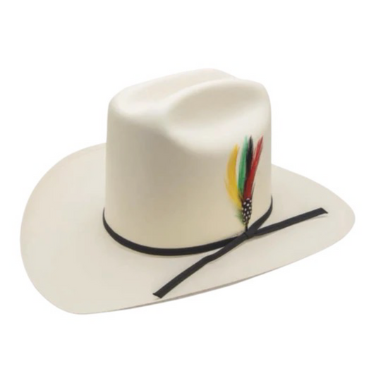 Sombrero Rancher Copa Alta 3.5” Calidad 100x  WD-675