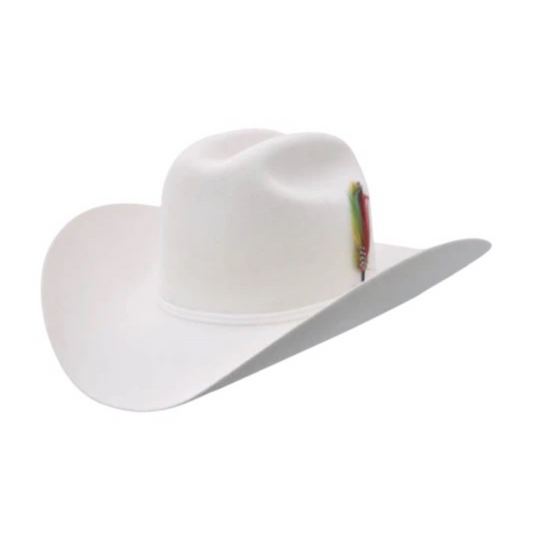 Texana Stetson Rancher 6X
