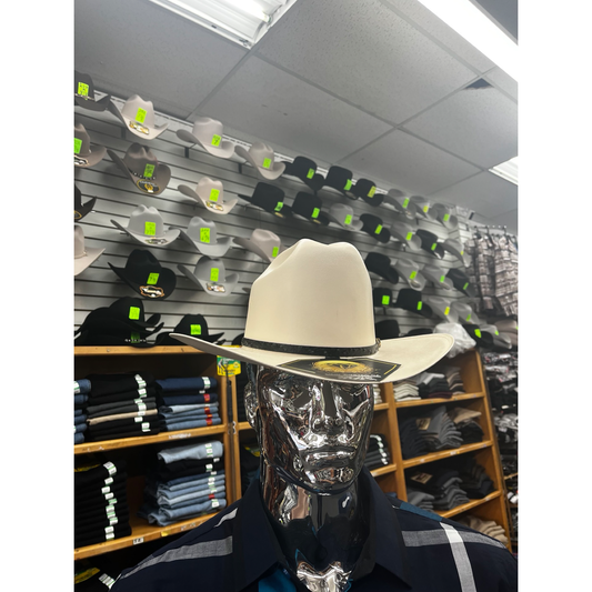 Sombrero Regular 3.5″ Calidad 100X WD-675 – Clásico Ranchero Diario