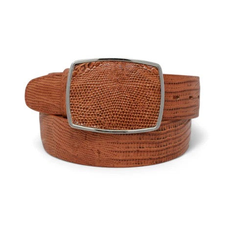 Brown textured belt with a silver buckle on a white background