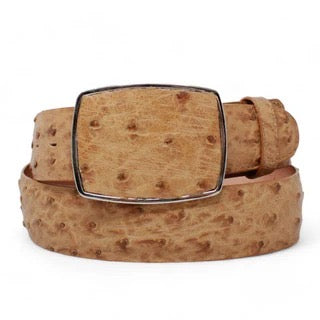 Cork belt with a square buckle on a white background
