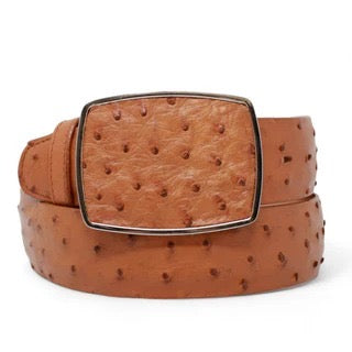 Brown ostrich-patterned belt with a matching buckle on a white background