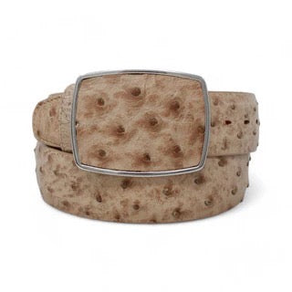 Cinto de Avestruz Color Mocha Oscuro – Los Altos Boots