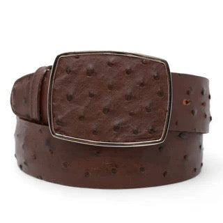 Brown ostrich-patterned belt with a square buckle on a white background