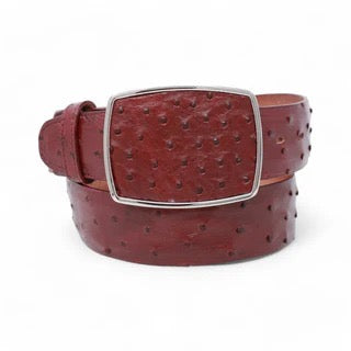 Brown leather belt with a textured buckle on a white background