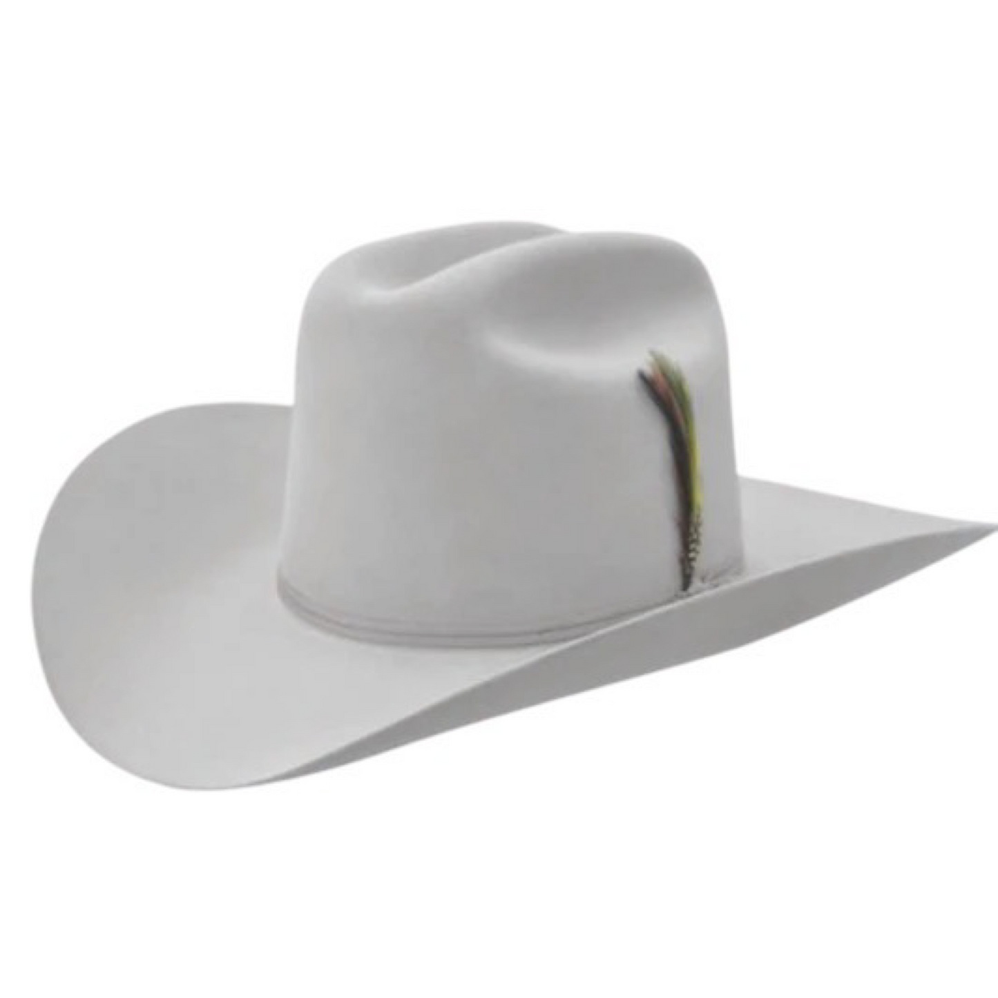 A silver gray Stetson rancher cowboy hat with a wide brim and a feather decoration on the side.