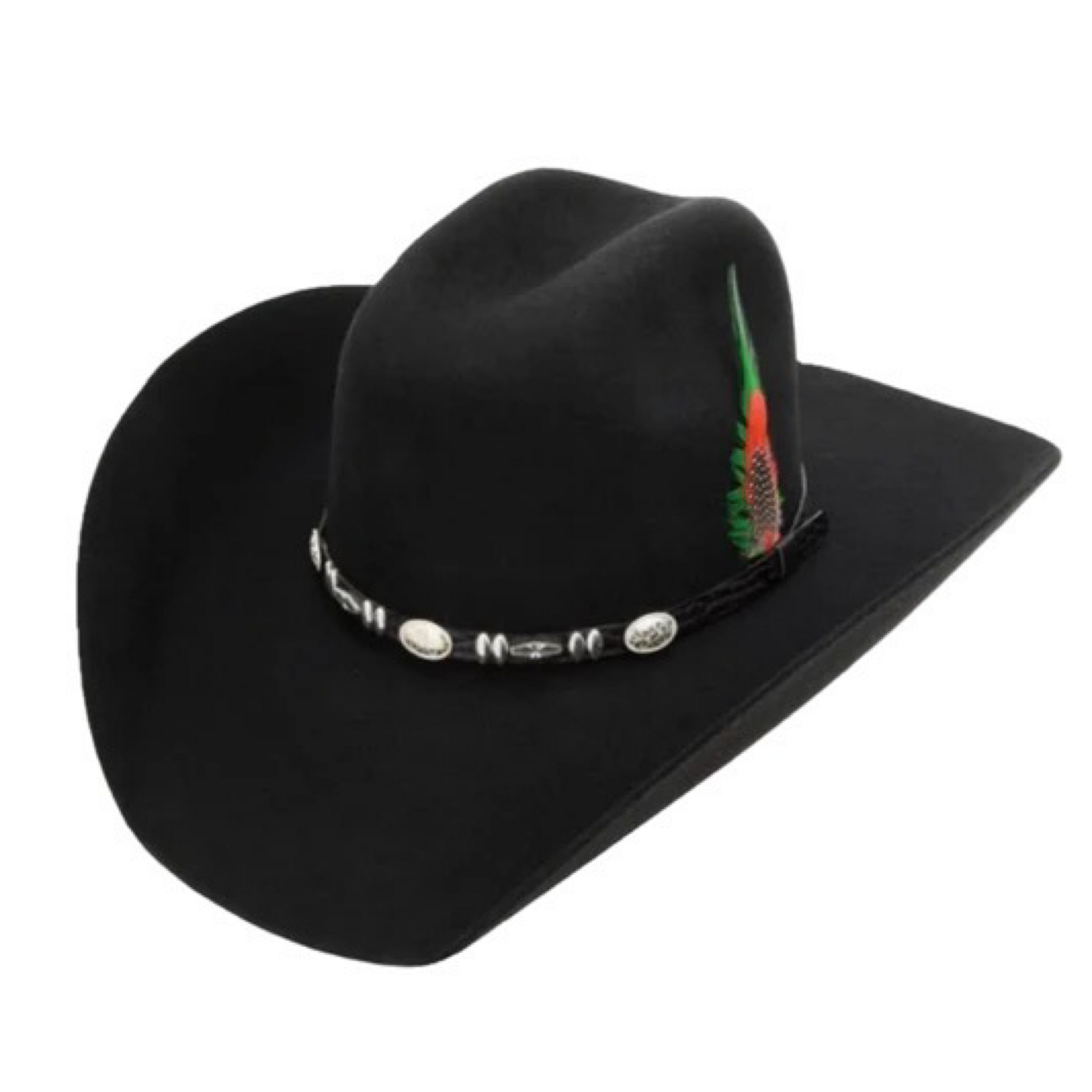 A black cowboy hat with a decorative band featuring silver elements and a colorful feather.
