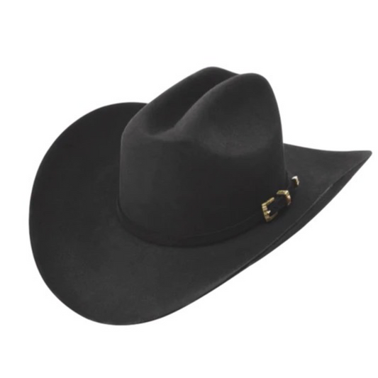 A black cowboy hat with a pinwheel detail on the side.